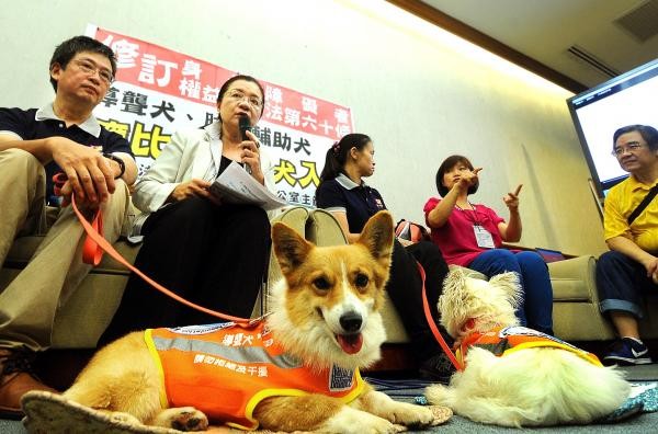 民進黨立委田秋堇推動導聾犬、肢體輔助犬比照導盲犬入法。（資料照，記者方賓照攝）