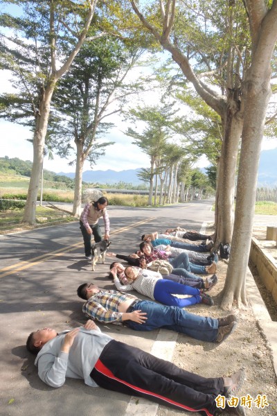 鹿野龍田綠色隧道躺馬路活動將成絕響。（記者張存薇攝）