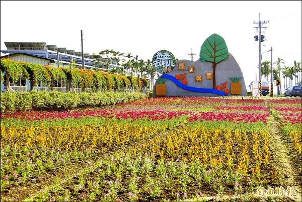 瑞穗農會的主題花海設在富興社區，同樣位於台九線馬路邊，面積也只有兩分地，難引起遊客注目。（記者花孟璟攝）