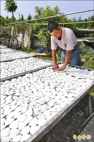 裁縫師專用的「粉餅土」，彰化縣溪州鄉業者堅守傳統，採取日曬法。（記者劉曉欣攝）