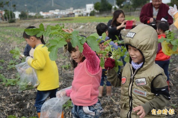 關山一所幼兒園學童開心體驗拔蘿蔔的樂趣。（記者王秀亭攝）