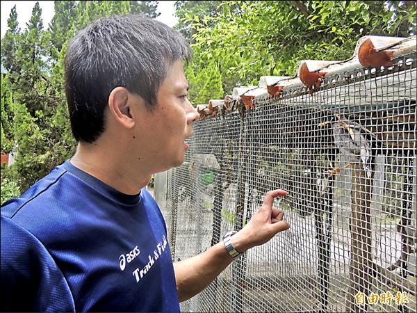 建國國中師生過去可隔著鐵絲網，流浪動物之家的寵物鳥互動，現因禽流感疫情爆發，學校禁止學生與禽鳥近距離接觸。（記者陳燦坤攝）