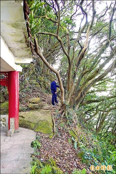 易雲林為了賞花跌落涼亭旁峭壁（示意圖，男子非當事人）。（記者余衡攝）