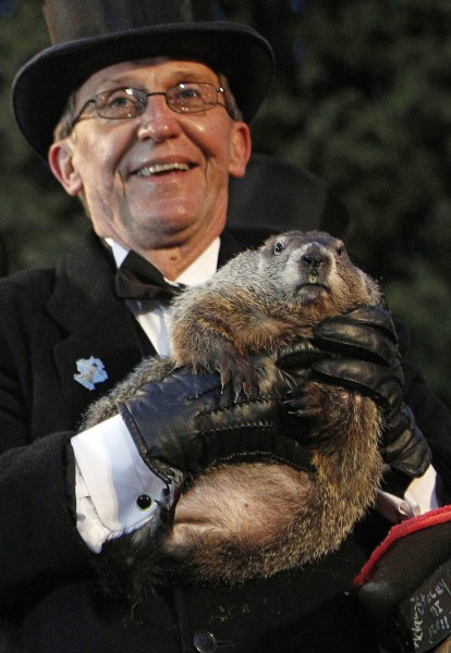 美國每年2月2日是傳統的「土撥鼠日」（Groundhog Day），都會請到賓州土撥鼠菲爾，來預測春天是否到來。（EPA）