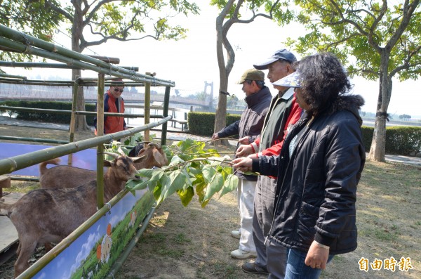 虎頭埤風景區農曆年推出應景的真羊餵食體驗，適合親子同遊。（記者吳俊鋒攝）