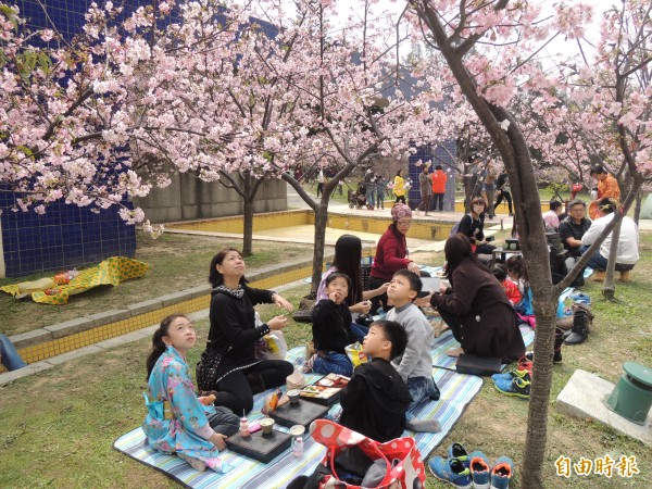 新竹市新竹公園內的河津櫻花正盛開，民眾帶著食物在櫻花樹下野餐及賞櫻，感受春天賞櫻小確幸，都覺得很幸福。（記者洪美秀攝）