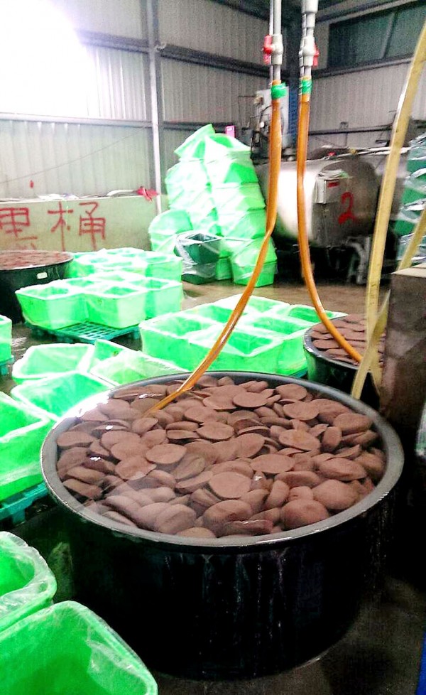 Confiscated semi-finished duck-blood pudding meant for human consumption, but mixed with animal-feed-grade poultry blood, is placed in a vat in a factory in New Taipei City yesterday.
Photo: CNA