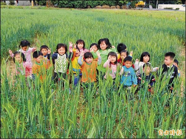 「2015大雅麥浪季」將於三月七日登場，今年活動同樣有麥田迷宮供小朋友嬉戲，民眾可搭乘免費接駁車前往。（記者歐素美攝）