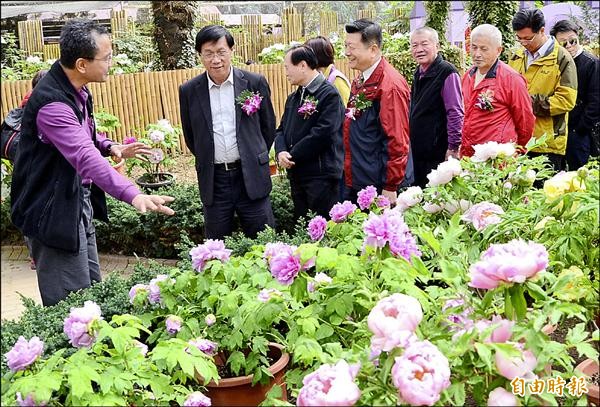 杉林溪森林生態渡假園區牡丹花季昨登場，南投縣長林明溱（左二）也前往賞花。（記者謝介裕攝）