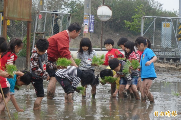 二林鎮香田國小生態田插秧了 生活 自由時報電子報