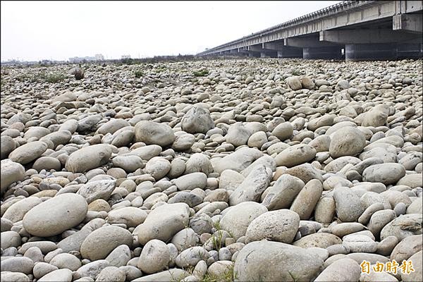 大甲溪下游清水段砂石淤積嚴重，民眾盼儘快疏濬避免釀災。（記者張軒哲攝）