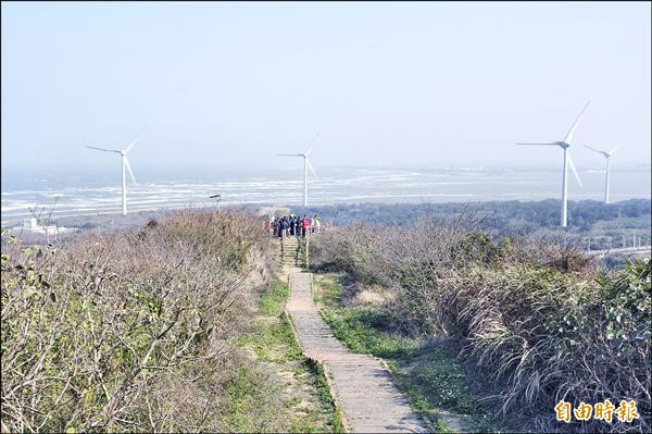 苗栗縣後龍鎮「好望角」風景宜人，可欣賞山海晨昏美景，但周邊山林植生略顯雜亂。（記者彭健禮攝）