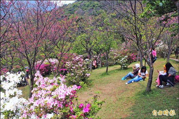 é™½æ˜Žå±±èŠ±å­£è½å¹•é‚„æœ‰æœéµ'å¯çœ‹ åœ°æ–¹ è‡ªç