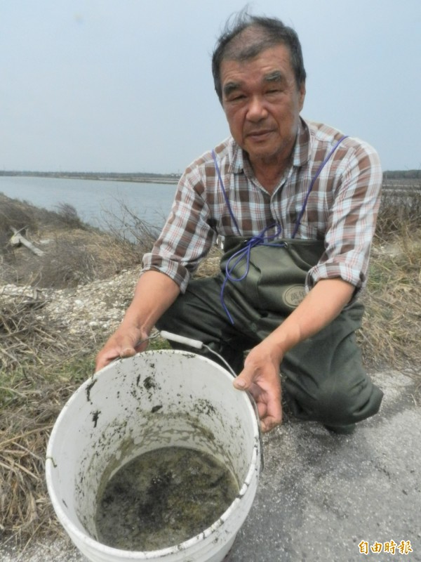 養殖業者撈起的污漬令人怵目驚心。（記者鄭旭凱攝）
