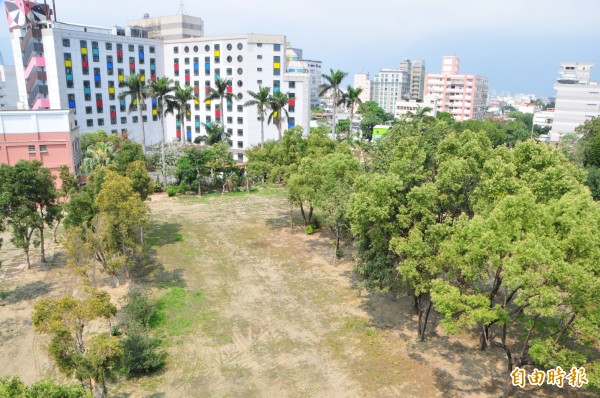 花蓮市花崗國中新建校舍完工後，40多年的老教室拆掉後，將興建籃球場、排球場共5座，而球場預定範圍內的老樹傳出將被砍除，校方今澄清「將辦理移植。」（記者花孟璟攝）