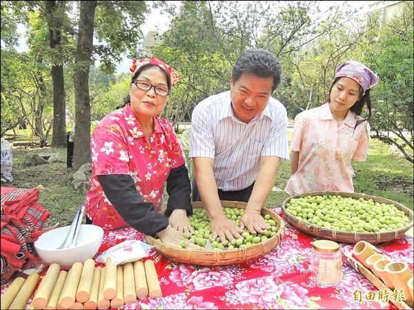 仁愛鄉互助、新生村的青梅成熟，舉辦泡湯採梅趣活動，邀請遊客體驗脆梅DIY樂趣。（記者佟振國攝）