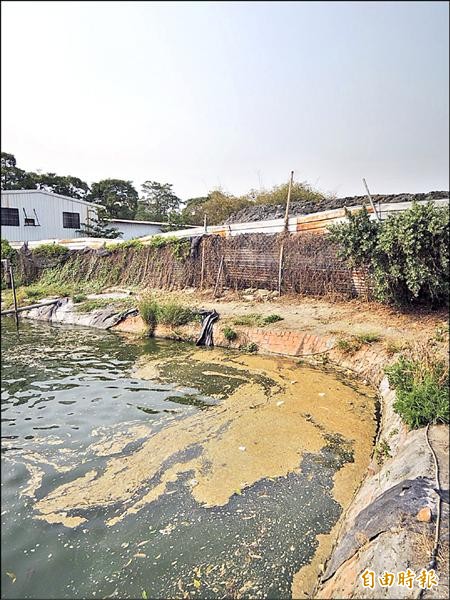 魚塭遭泥漿污染，養殖業者聲稱損失不貲。（記者洪臣宏攝）