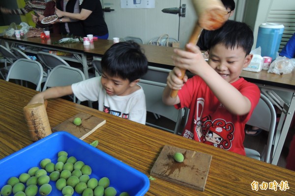 梅子產期到來台東體驗脆梅diy 生活 自由時報電子報