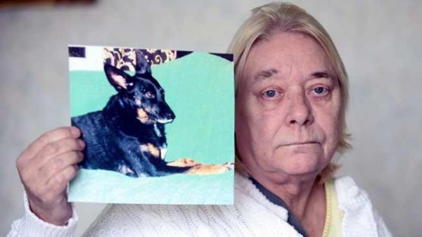 61歲婦人戈達德的愛犬因為吸入過多二手菸而罹癌。（圖取自「BT.com」）