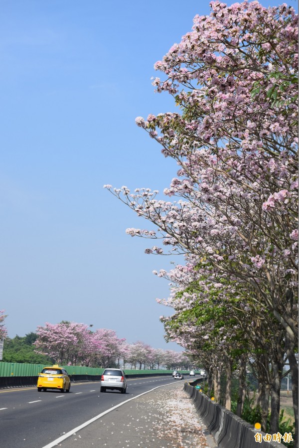 嘉義縣82線快速道路美景。（記者吳世聰攝）
