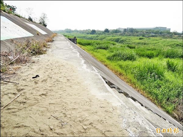 牛稠溪近大寶鎮附近堤防，出現長達數百公尺的裂縫，雖經簡單修補，附近民眾仍心不安。（記者王善嬿攝）