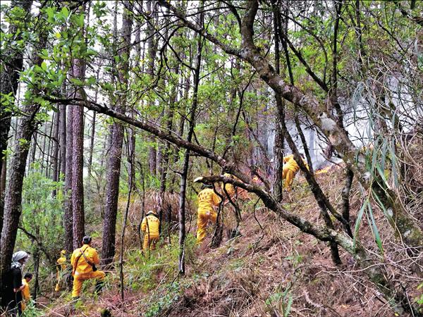 林務局森林救火隊在火警現場進行滅火，並闢建防火巷，以防火勢延燒太快。（東勢林區管理處提供）
