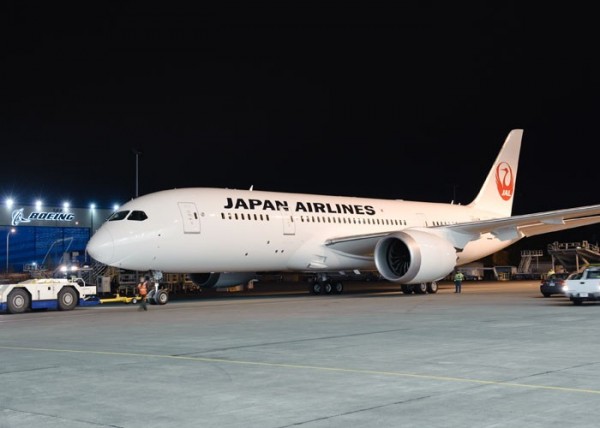 日本航空公司一架由俄羅斯飛往東京的客機，6日因起落架出問題而折返機場。（圖片擷取自「Vestnik Kavkaza」網站）