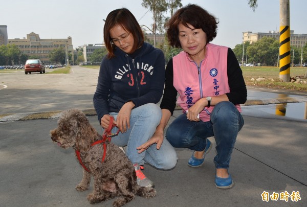 太平坪林森林公園、勤益科大有流浪狗出沒，林姓飼主（左）和市議員李麗華（右）今天帶著被咬傷的狗狗現身，希望市府捕捉，維護民眾安全。（記者陳建志攝）