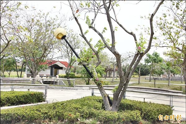 兒童公園路燈傾斜，也無照明功能。（記者林宜樟攝）