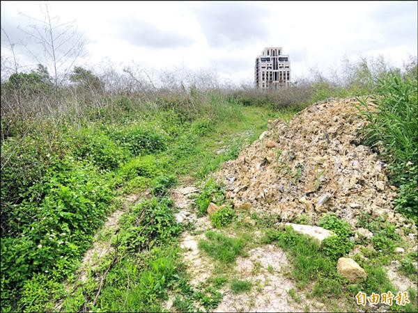 板新二期計畫的配水池預定地遠看是小山丘，上面長滿野草，並無異狀，但走近一看，可以清楚看見部分土堆中裸露出營建廢棄物。（記者劉力仁攝）