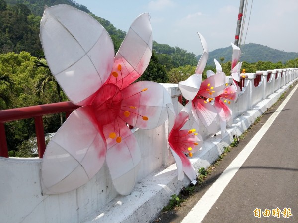 新竹縣客家桐花祭路跑賽將於明天登場，主辦單位在沿途設置了「比臉盆還大」的桐花裝置藝術，邀請參賽者另類賞桐。（記者蔡孟尚攝）