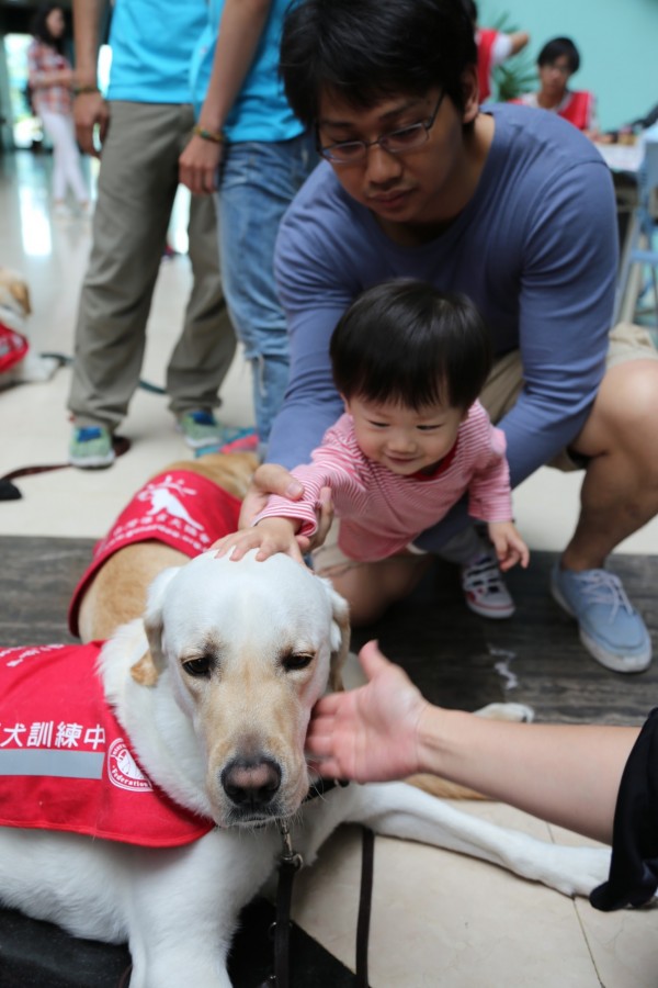 國際導盲犬月，導盲犬今天進入科教館和孩子互動。（科教館提供）