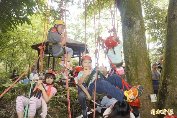 小朋友揮汗體驗攀樹、一嚐擁抱大自然的樂趣。（記者張安蕎攝）