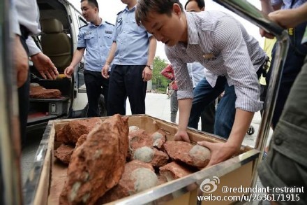 中國廣東省在進行道路施工途中，意外出土43顆恐龍蛋化石。（圖擷取自微博）