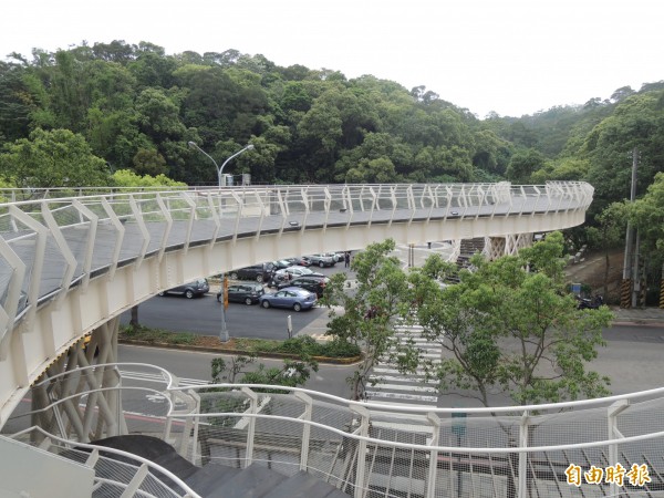 新竹市客家桐花步道及景觀天橋完工，由市府舉行完工揭牌活動，週六更有桐花祭活動，邀請市民到高峰植物園感受桐花飄雪美景。（記者洪美秀攝）