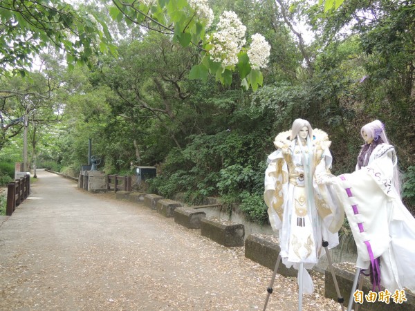 布袋戲迷在桐花步道幫木偶拍照，成為焦點。（記者張軒哲攝）