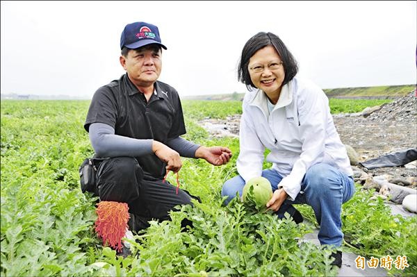 民進黨總統參選人蔡英文昨訪花蓮，現身瓜田選瓜，讓農友邱邦融（左）相當開心，還說要拍賣「總統瓜」，所得捐助小英競選經費。（記者花孟璟攝）