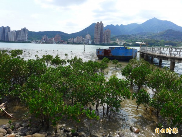 淡水部分地區將在後天上午十點開始停水十五小時。（記者李雅雯攝）