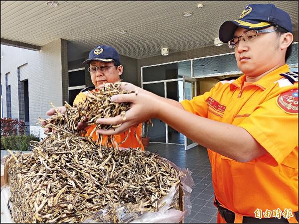 金門海巡隊查獲疑走私入境的中國香菇絲。（記者吳正庭攝）