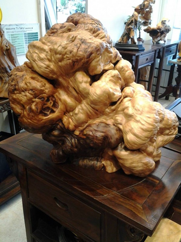 苗栗縣三義一家木雕藝品行，所被搶的台灣檜木樹瘤金磚。（記者張勳騰翻攝）