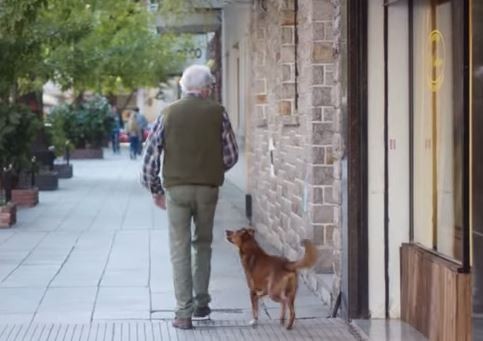 阿根廷的肝臟移植基金會拍了一支名為《The Man and the Dog》的廣告，以人狗的感情，刻畫出器官捐贈的可貴價值。（圖擷自YouTube）