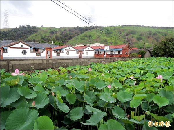 趙家古厝花紅葉綠、山青宅古。（記者張軒哲攝）