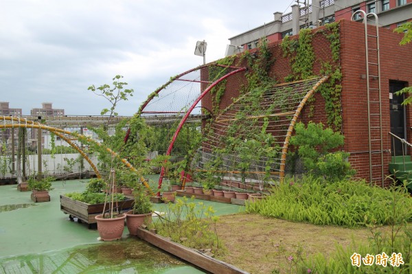 新竹縣環保局的空中花園造景，幾乎都來自回收的資源廢棄物。（記者黃美珠攝）