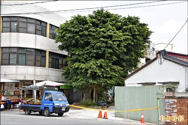 中山路卅九巷口並非主要幹道，拓路移樹恐會傷害老樹，也不能解決當地交通壅塞問題。（記者蘇福男攝）