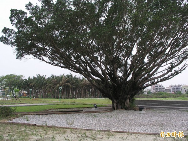 台江文化中心預下地位於安南區安中路與吉安路口，佔地1公頃多。（記者蔡文居攝）