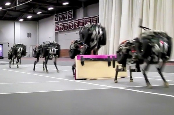 美國麻省理工學院（MIT）研究團隊近日發表一款使用四條腿運行的獵豹機器人「Cheetah」，研發至今已經訓練有素，不只行動快速，更能跨越障礙物，靈活模樣如真豹。（圖擷自MIT網頁）