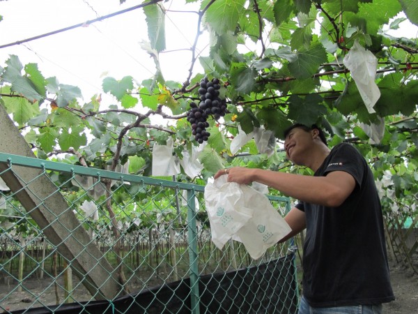 不花錢旅行大學生農家體驗打工換宿 生活 自由時報電子報