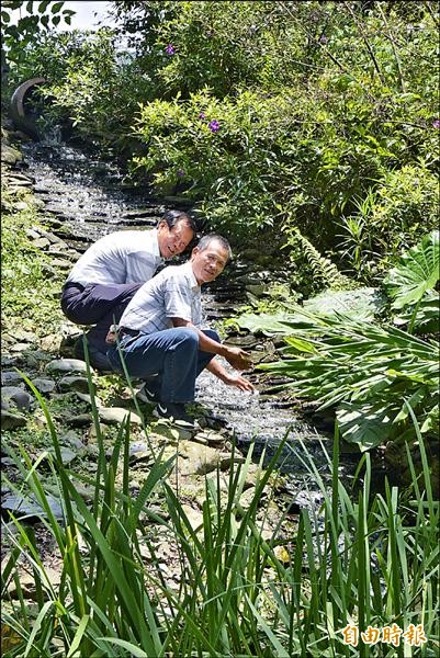 蝴蝶生態農場占地一千坪，園區內還有小瀑布，共蘊含近百種動植物生態。（記者朱則瑋攝）