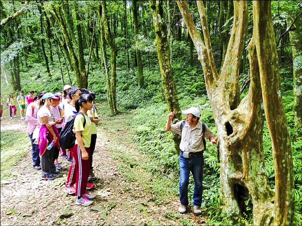 鶯歌中湖國小畢業生挑戰東滿步道，費時八．五小時才走完全程，一路上搭配生態導覽，極具教育意義。（鶯歌中湖國小提供）