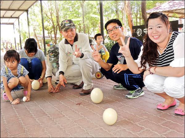 立蛋求好運，不是在端午節也能立起蛋來！學甲頑皮世界野生動物園昨起至21日每天中午12點，開放遊客現場報名「立巨蛋」。當平均1公斤重的鴕鳥蛋站起來時，遊客驚喜直呼：「誰說在端午節才能把蛋立起來？」（圖文：記者楊金城）